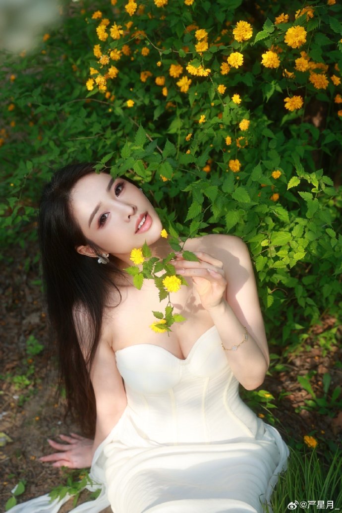 大明王朝1566 封面